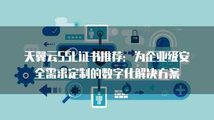 企業級服務器租用與互聯網安全定制服務 一站式解決方案